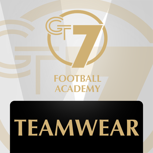 Picture for category GT7 Teamwear